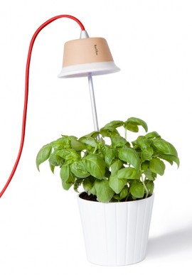 Lamp for flowers and plants Cynara
