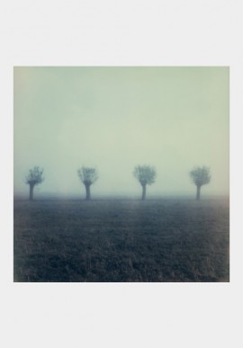 Four trees